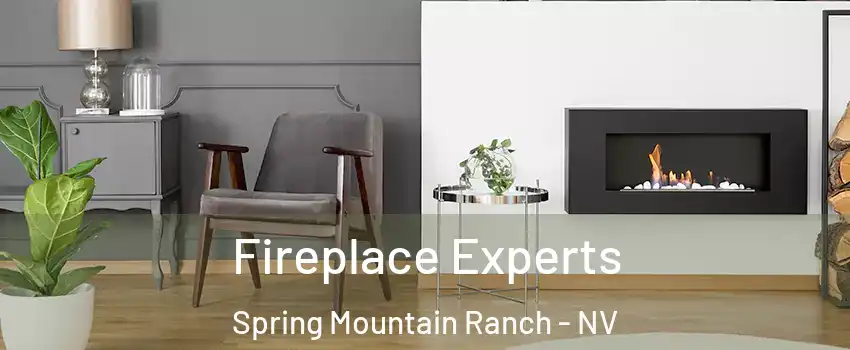 Fireplace Experts Spring Mountain Ranch - NV