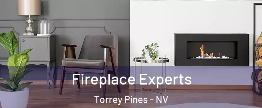 Fireplace Experts Torrey Pines - NV