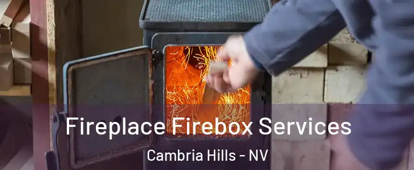 Fireplace Firebox Services Cambria Hills - NV