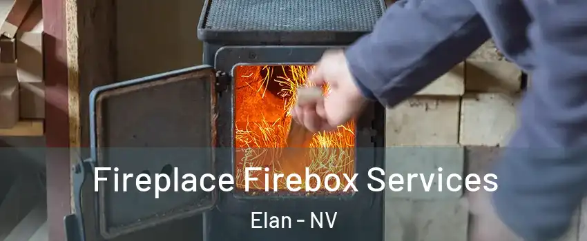 Fireplace Firebox Services Elan - NV