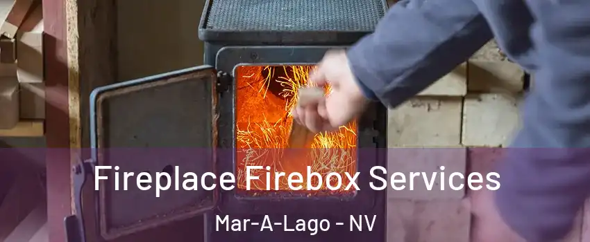 Fireplace Firebox Services Mar-A-Lago - NV