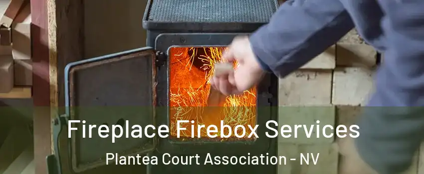 Fireplace Firebox Services Plantea Court Association - NV