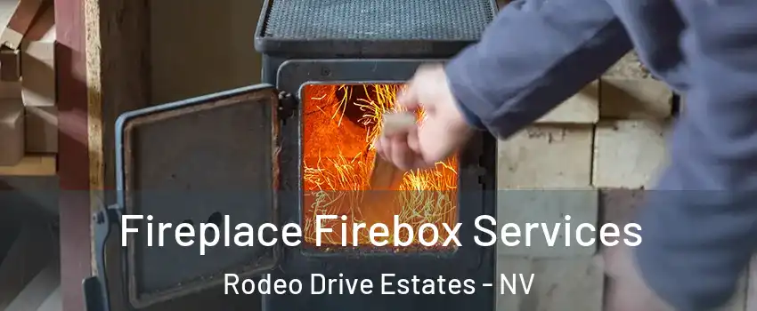 Fireplace Firebox Services Rodeo Drive Estates - NV