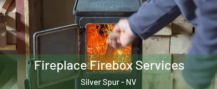 Fireplace Firebox Services Silver Spur - NV