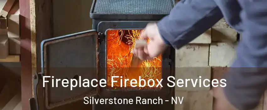 Fireplace Firebox Services Silverstone Ranch - NV