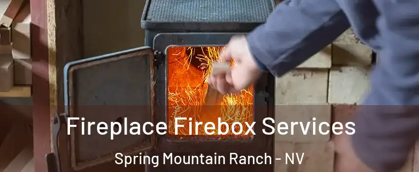 Fireplace Firebox Services Spring Mountain Ranch - NV