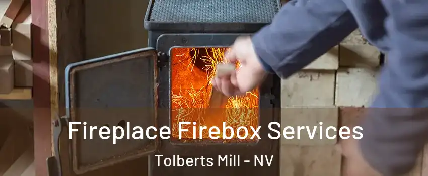 Fireplace Firebox Services Tolberts Mill - NV