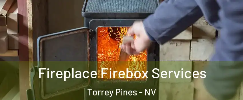 Fireplace Firebox Services Torrey Pines - NV