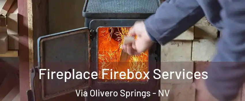 Fireplace Firebox Services Via Olivero Springs - NV