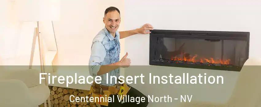 Fireplace Insert Installation Centennial Village North - NV