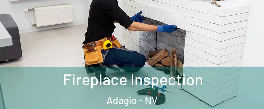 Fireplace Inspection Adagio - NV