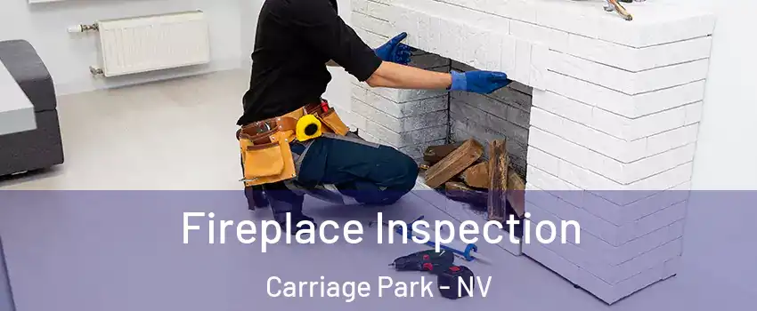 Fireplace Inspection Carriage Park - NV