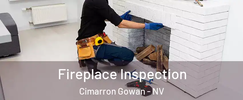 Fireplace Inspection Cimarron Gowan - NV