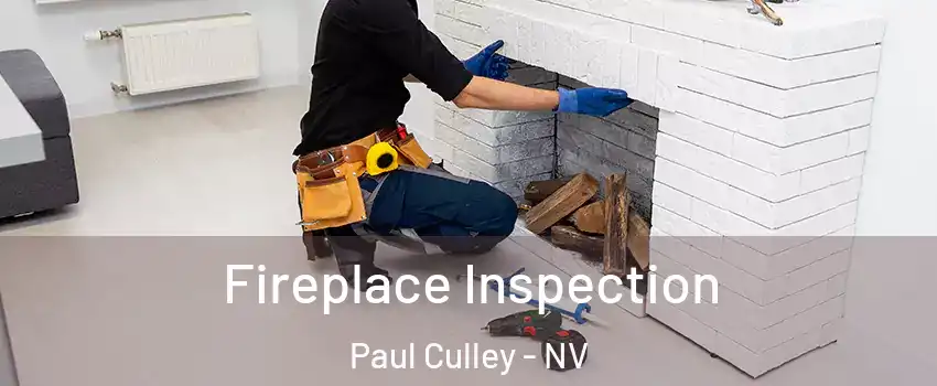 Fireplace Inspection Paul Culley - NV