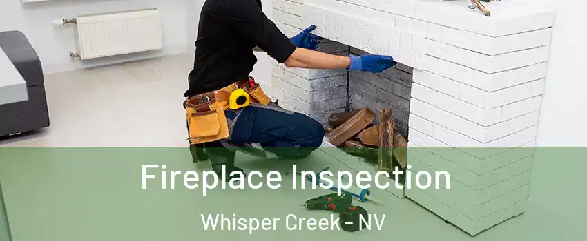 Fireplace Inspection Whisper Creek - NV