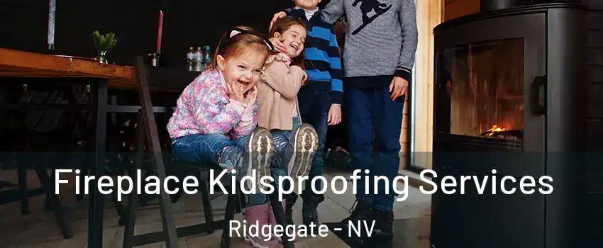 Fireplace Kidsproofing Services Ridgegate - NV