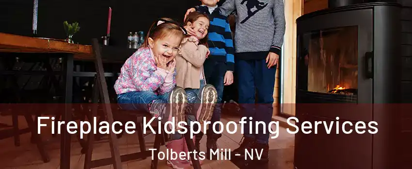 Fireplace Kidsproofing Services Tolberts Mill - NV