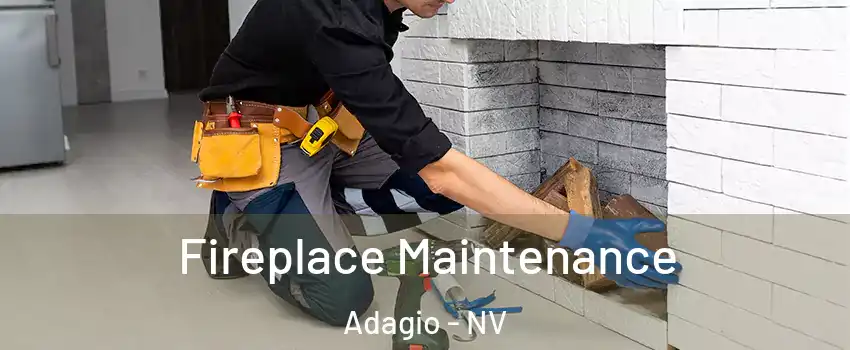Fireplace Maintenance Adagio - NV