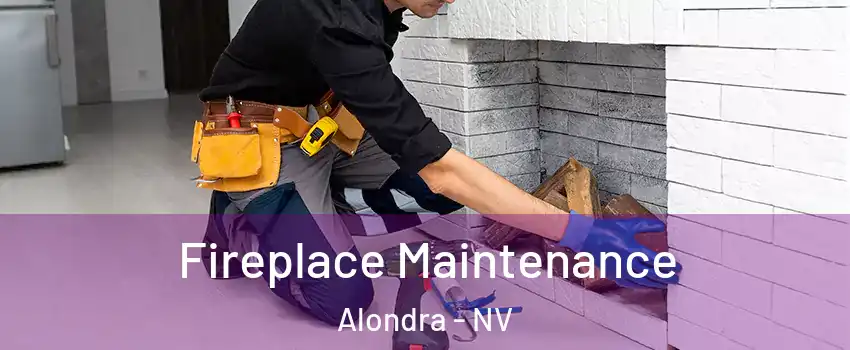 Fireplace Maintenance Alondra - NV
