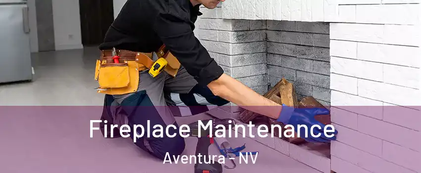 Fireplace Maintenance Aventura - NV