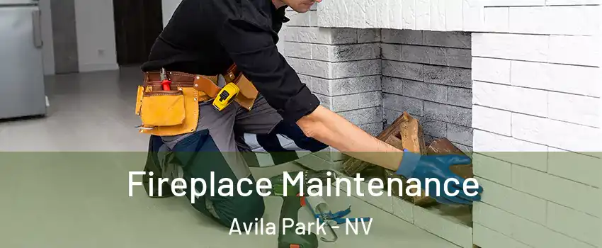 Fireplace Maintenance Avila Park - NV