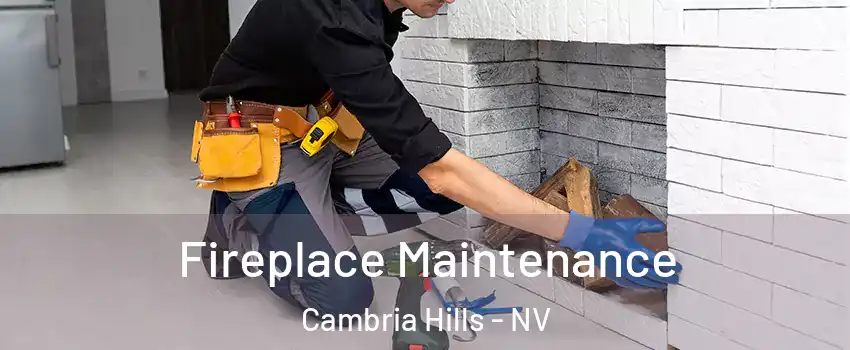 Fireplace Maintenance Cambria Hills - NV