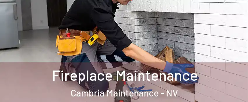 Fireplace Maintenance Cambria Maintenance - NV