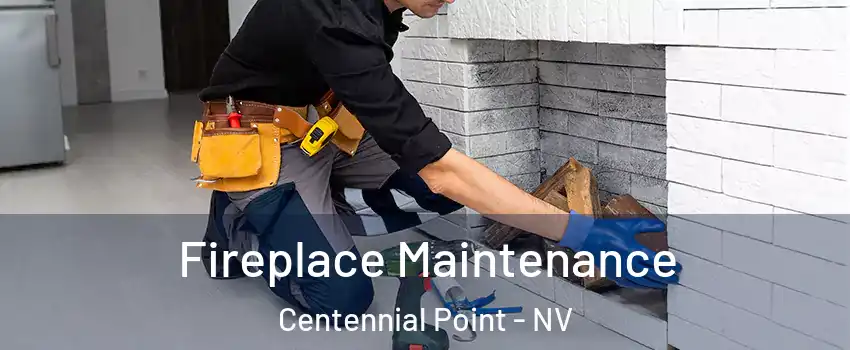 Fireplace Maintenance Centennial Point - NV