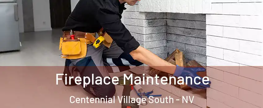 Fireplace Maintenance Centennial Village South - NV