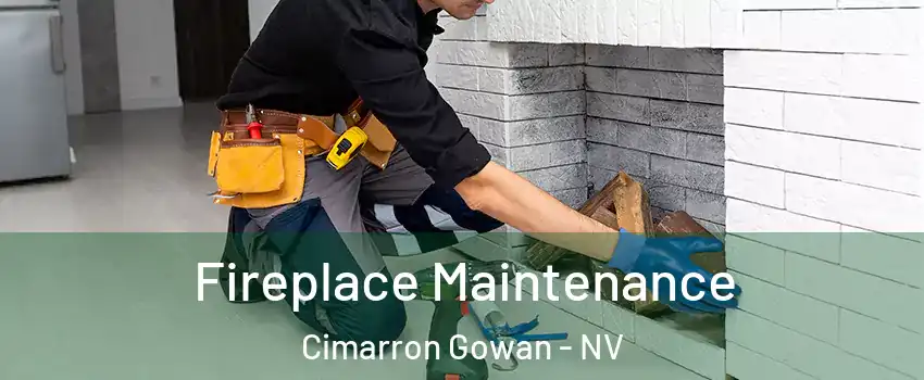 Fireplace Maintenance Cimarron Gowan - NV