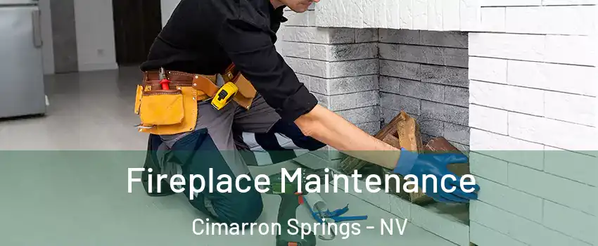 Fireplace Maintenance Cimarron Springs - NV