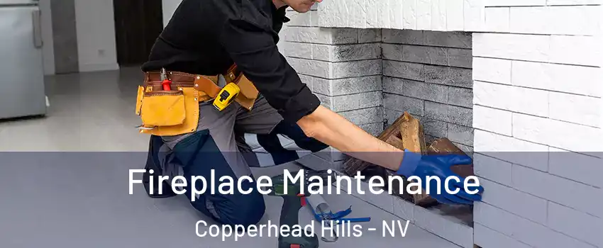 Fireplace Maintenance Copperhead Hills - NV