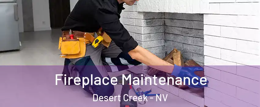 Fireplace Maintenance Desert Creek - NV
