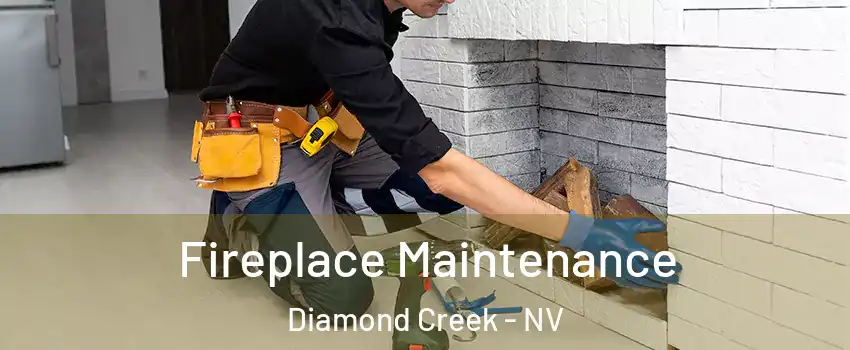Fireplace Maintenance Diamond Creek - NV