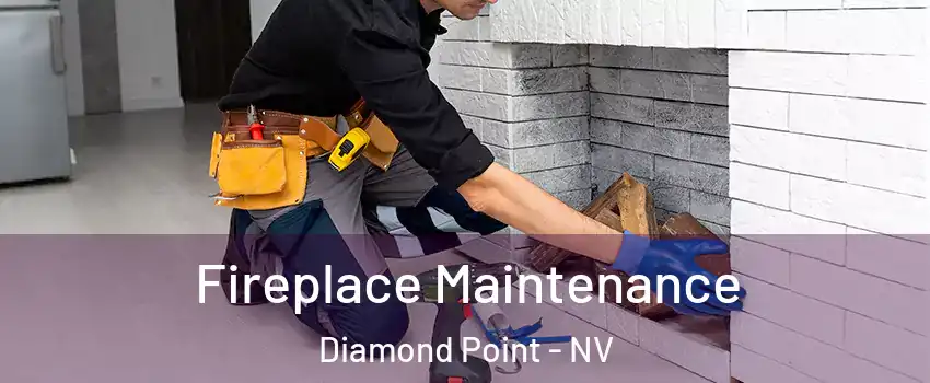 Fireplace Maintenance Diamond Point - NV