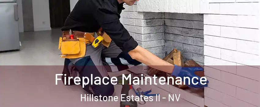 Fireplace Maintenance Hillstone Estates II - NV