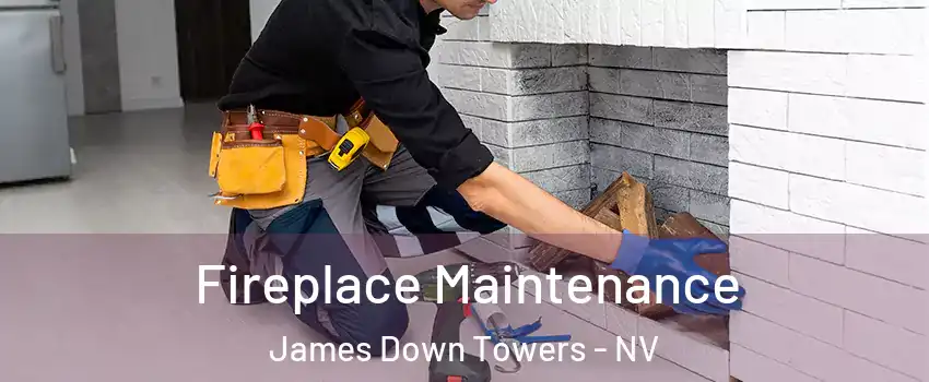 Fireplace Maintenance James Down Towers - NV