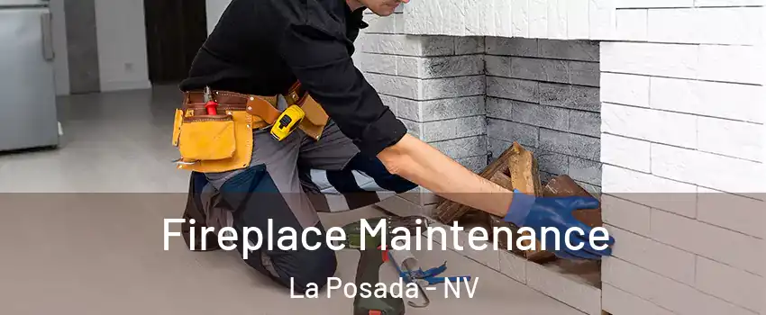 Fireplace Maintenance La Posada - NV