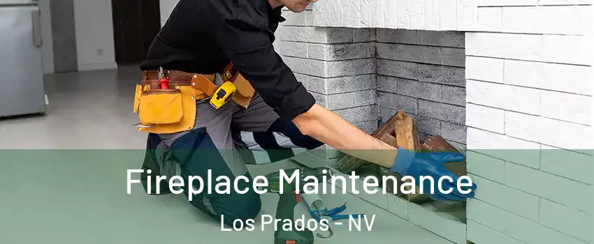 Fireplace Maintenance Los Prados - NV