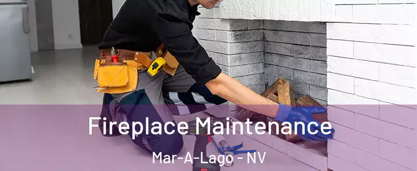 Fireplace Maintenance Mar-A-Lago - NV