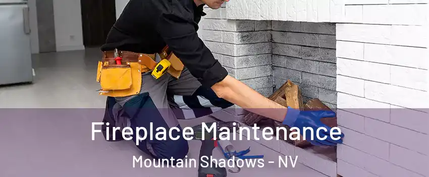 Fireplace Maintenance Mountain Shadows - NV