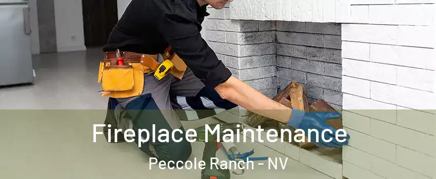 Fireplace Maintenance Peccole Ranch - NV