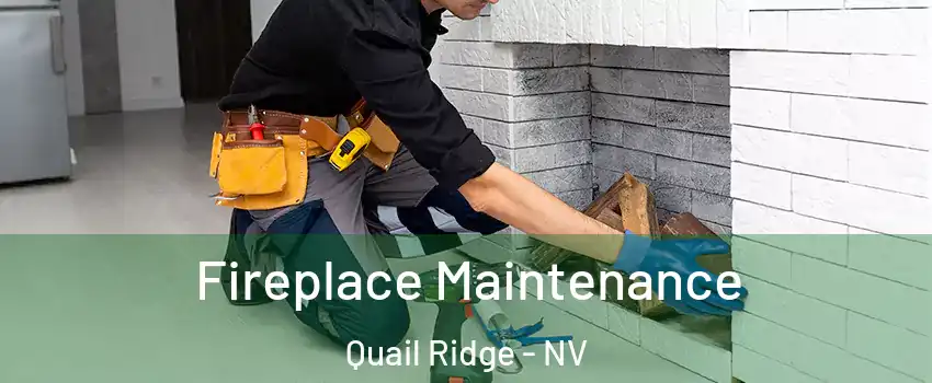 Fireplace Maintenance Quail Ridge - NV