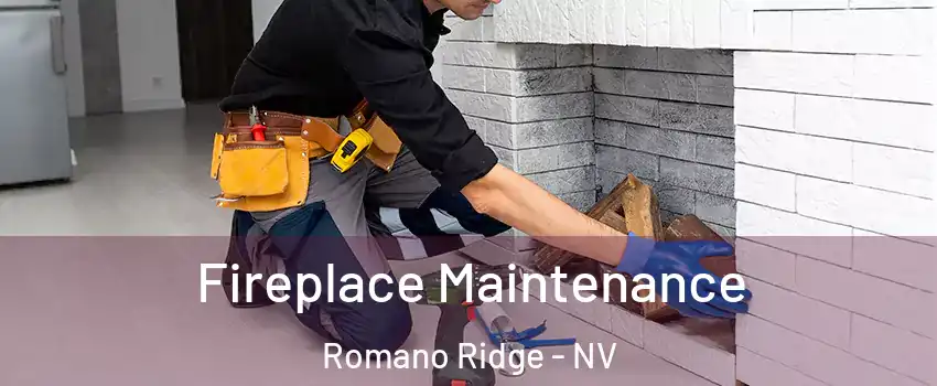 Fireplace Maintenance Romano Ridge - NV