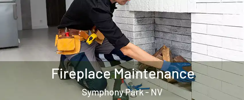 Fireplace Maintenance Symphony Park - NV