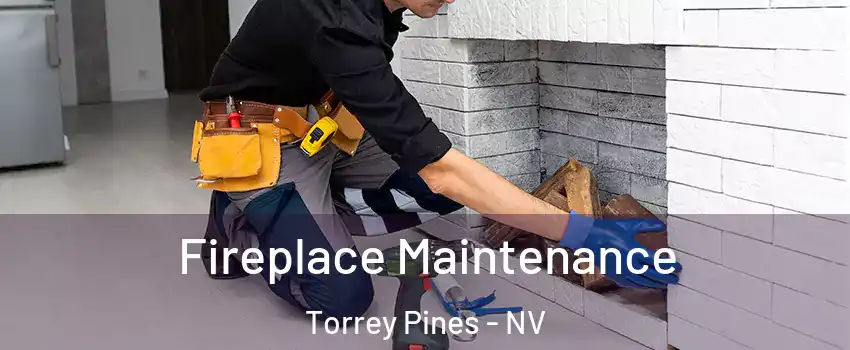 Fireplace Maintenance Torrey Pines - NV