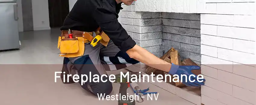 Fireplace Maintenance Westleigh - NV