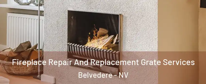 Fireplace Repair And Replacement Grate Services Belvedere - NV