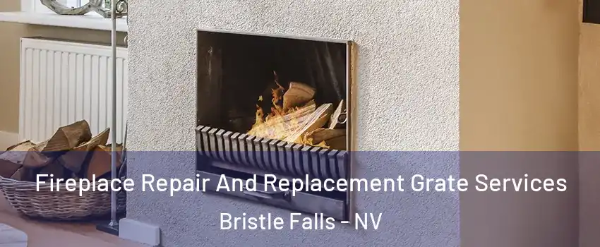 Fireplace Repair And Replacement Grate Services Bristle Falls - NV