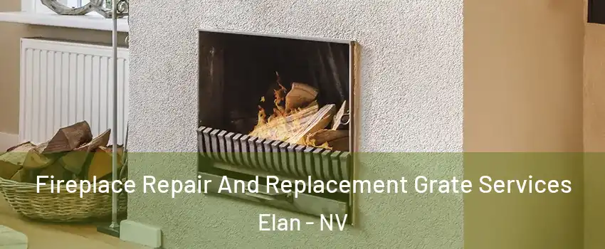 Fireplace Repair And Replacement Grate Services Elan - NV